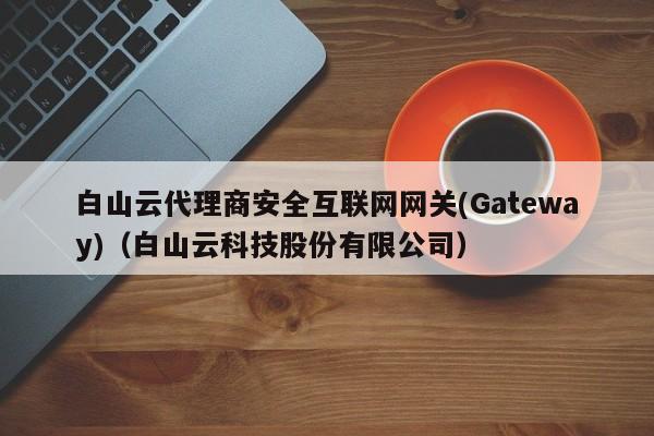 白山云代理商安全互联网网关(Gateway)（白山云科技股份有限公司）