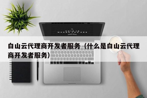 白山云代理商开发者服务（什么是白山云代理商开发者服务）