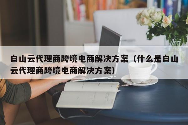 白山云代理商跨境电商解决方案（什么是白山云代理商跨境电商解决方案）