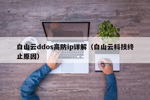 白山云ddos高防ip详解（白山云科技终止原因）
