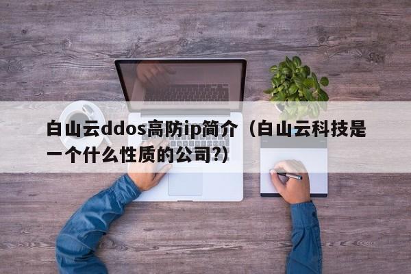 白山云ddos高防ip简介（白山云科技是一个什么性质的公司?）