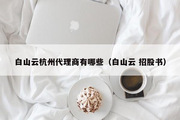 白山云杭州代理商有哪些（白山云 招股书）