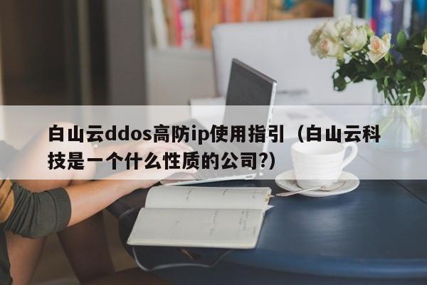 白山云ddos高防ip使用指引（白山云科技是一个什么性质的公司?）