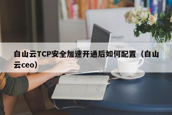 白山云TCP安全加速开通后如何配置（白山云ceo）