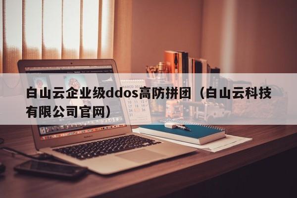 白山云企业级ddos高防拼团（白山云科技有限公司官网）