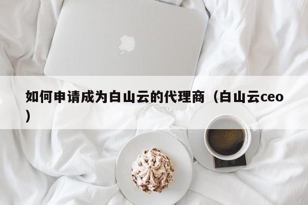 如何申请成为白山云的代理商（白山云ceo）