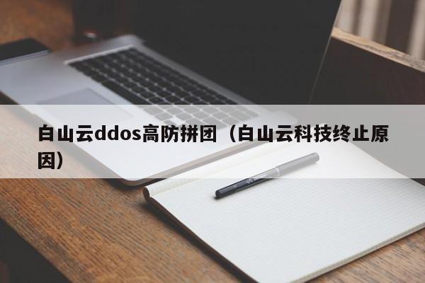 白山云ddos高防拼团（白山云科技终止原因）