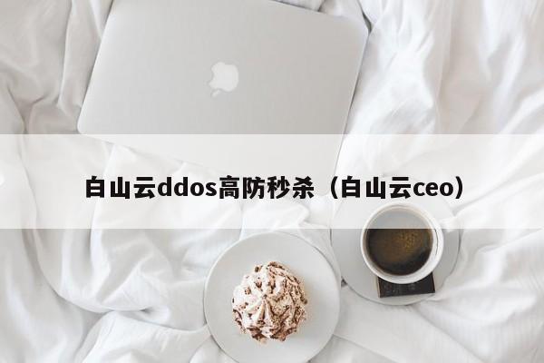 白山云ddos高防秒杀（白山云ceo）