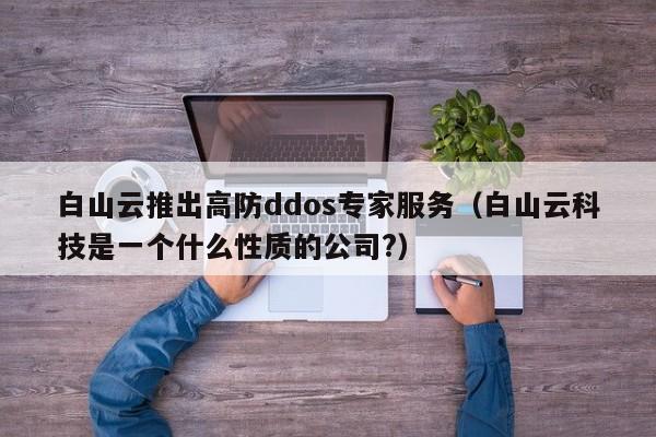 白山云推出高防ddos专家服务（白山云科技是一个什么性质的公司?）