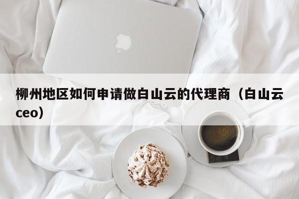 柳州地区如何申请做白山云的代理商（白山云ceo）