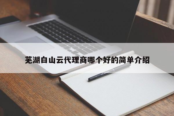 芜湖白山云代理商哪个好的简单介绍