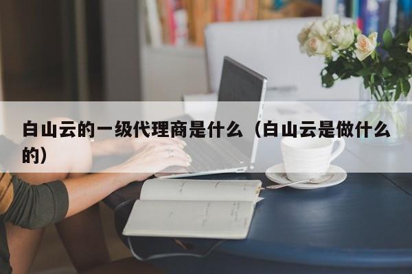 白山云的一级代理商是什么（白山云是做什么的）