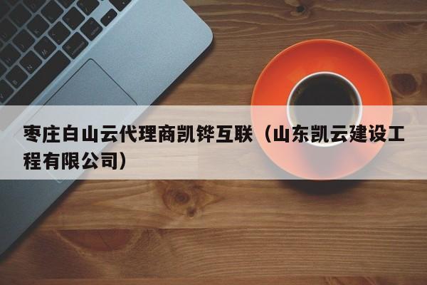枣庄白山云代理商凯铧互联（山东凯云建设工程有限公司）