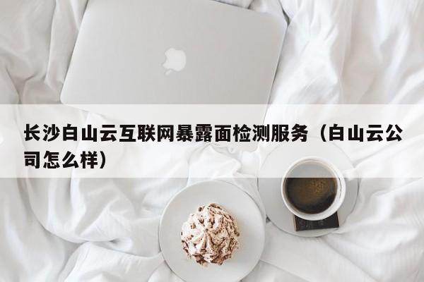 长沙白山云互联网暴露面检测服务（白山云公司怎么样）
