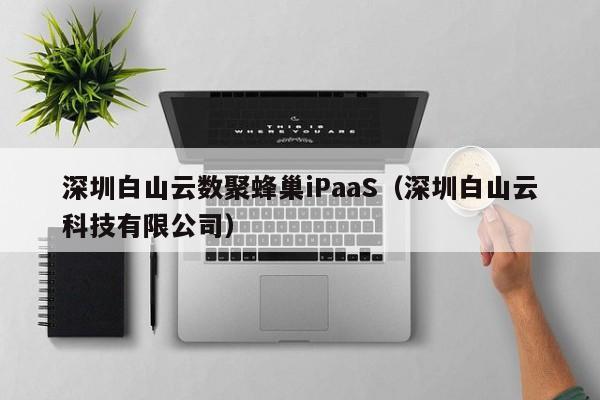 深圳白山云数聚蜂巢iPaaS（深圳白山云科技有限公司）