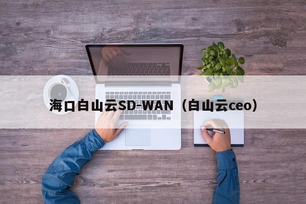 海口白山云SD-WAN（白山云ceo）