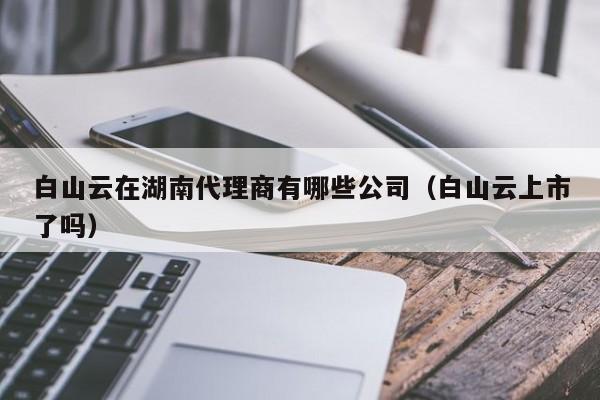 白山云在湖南代理商有哪些公司（白山云上市了吗）