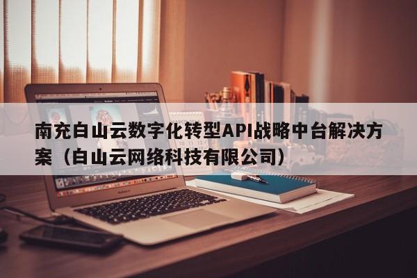 南充白山云数字化转型API战略中台解决方案（白山云网络科技有限公司）