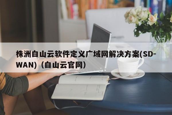 株洲白山云软件定义广域网解决方案(SD-WAN)（白山云官网）