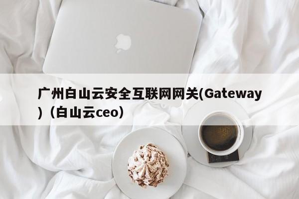 广州白山云安全互联网网关(Gateway)（白山云ceo）