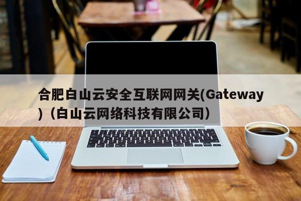 合肥白山云安全互联网网关(Gateway)（白山云网络科技有限公司）