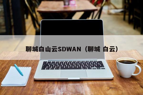 聊城白山云SDWAN（聊城 白云）