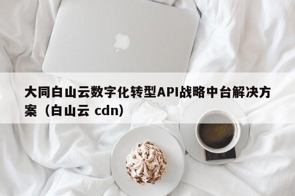 大同白山云数字化转型API战略中台解决方案（白山云 cdn）