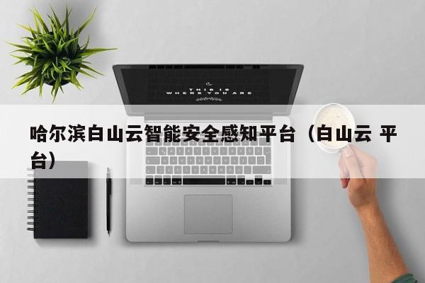 哈尔滨白山云智能安全感知平台（白山云 平台）