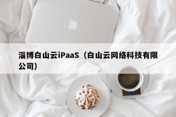 淄博白山云iPaaS（白山云网络科技有限公司）