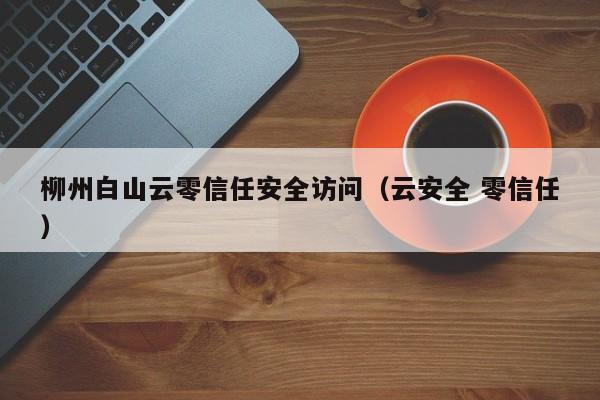 柳州白山云零信任安全访问（云安全 零信任）