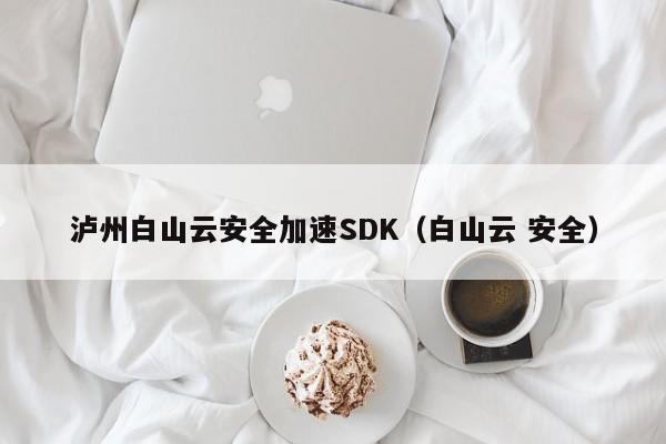泸州白山云安全加速SDK（白山云 安全）