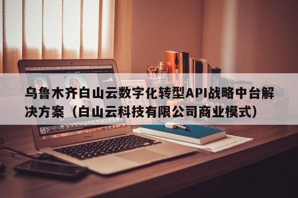 乌鲁木齐白山云数字化转型API战略中台解决方案（白山云科技有限公司商业模式）